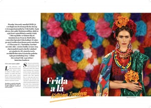 FRIDA editorial