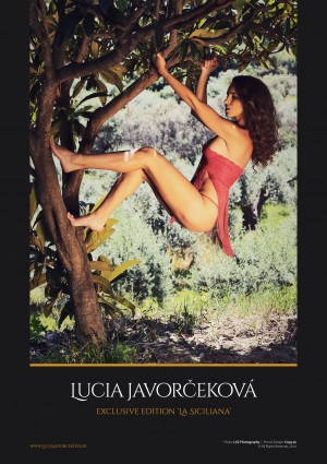 CALENDAR LUCIA JAVORCEKOVA 2015